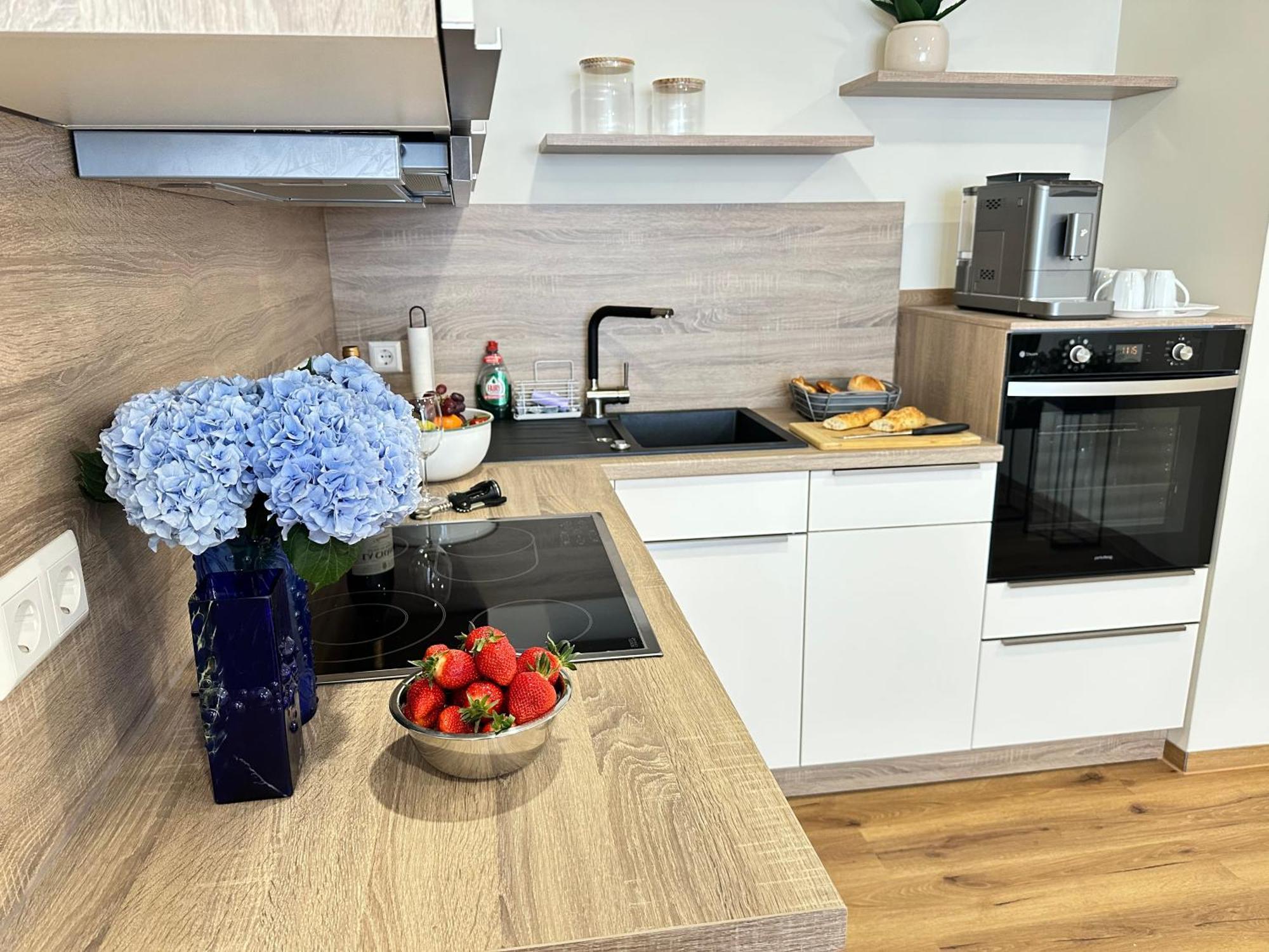 Apartment Wilhelmsapartment Friedrichshafen